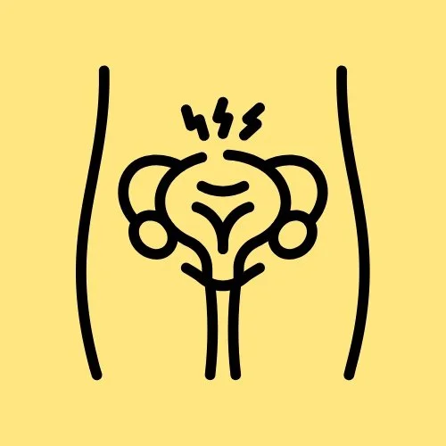 Pelvic organ prolapse and cystocele - pelvic floor PT in Edina, MN